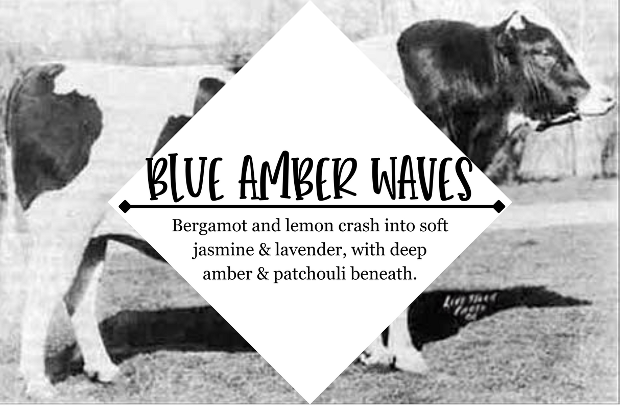 Mens Shaving Bars Refill - Grandpa Joe's Chocolates