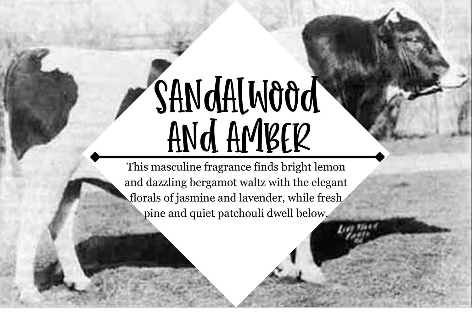 Beard Balm - Grandpa Joe's Chocolates