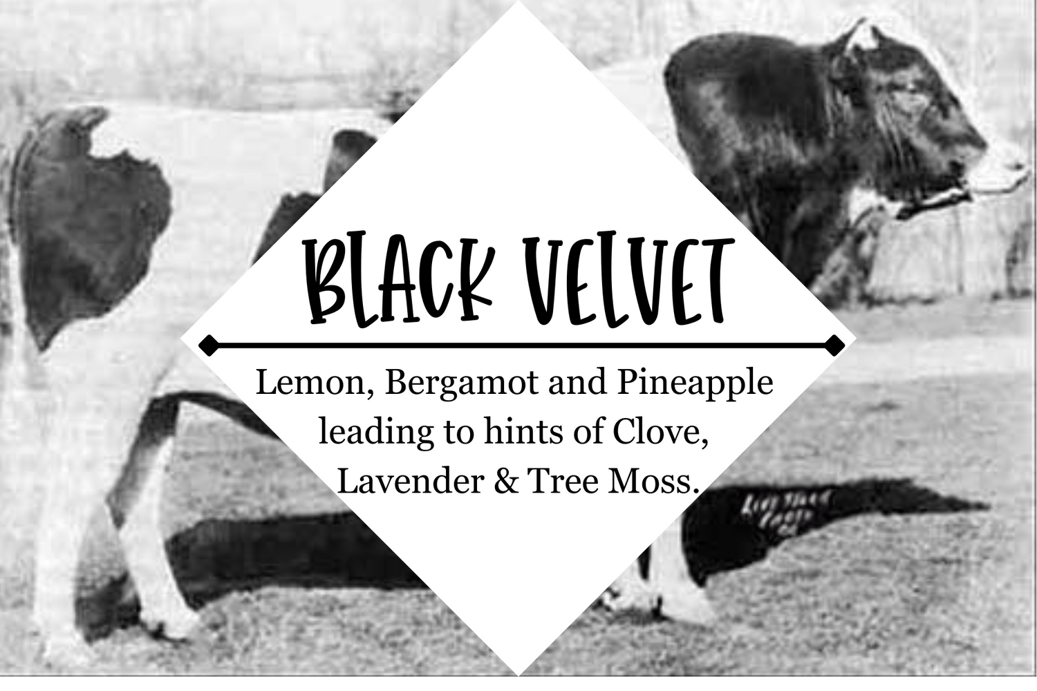 Beard Balm - Grandpa Joe's Chocolates