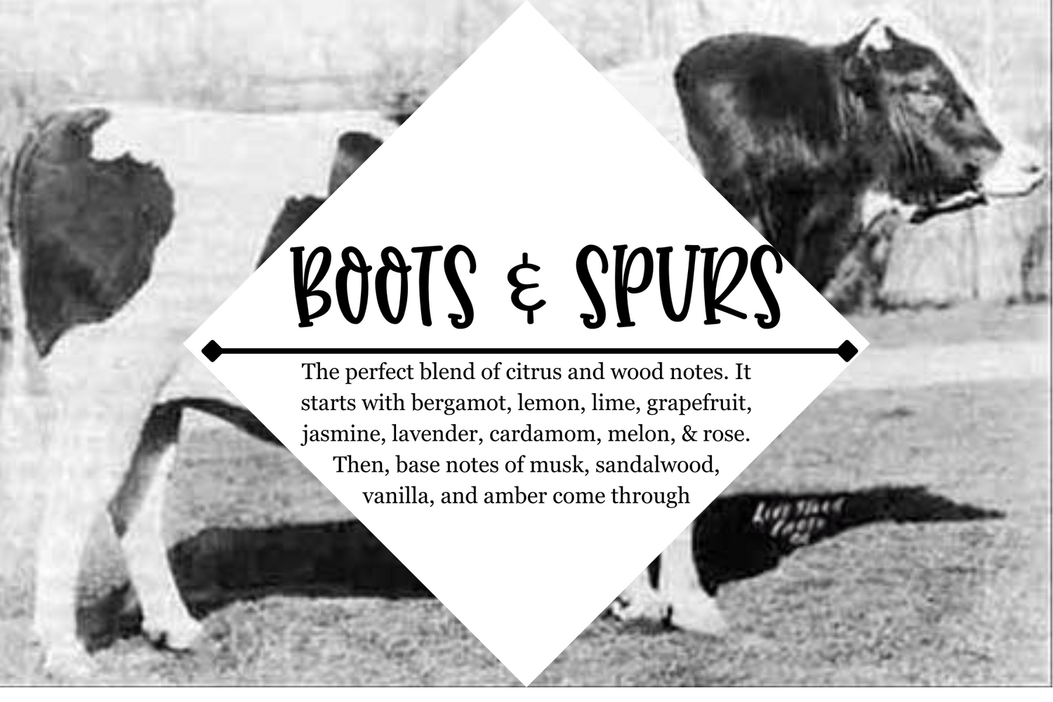 Mens Shaving Bars Refill - Grandpa Joe's Chocolates