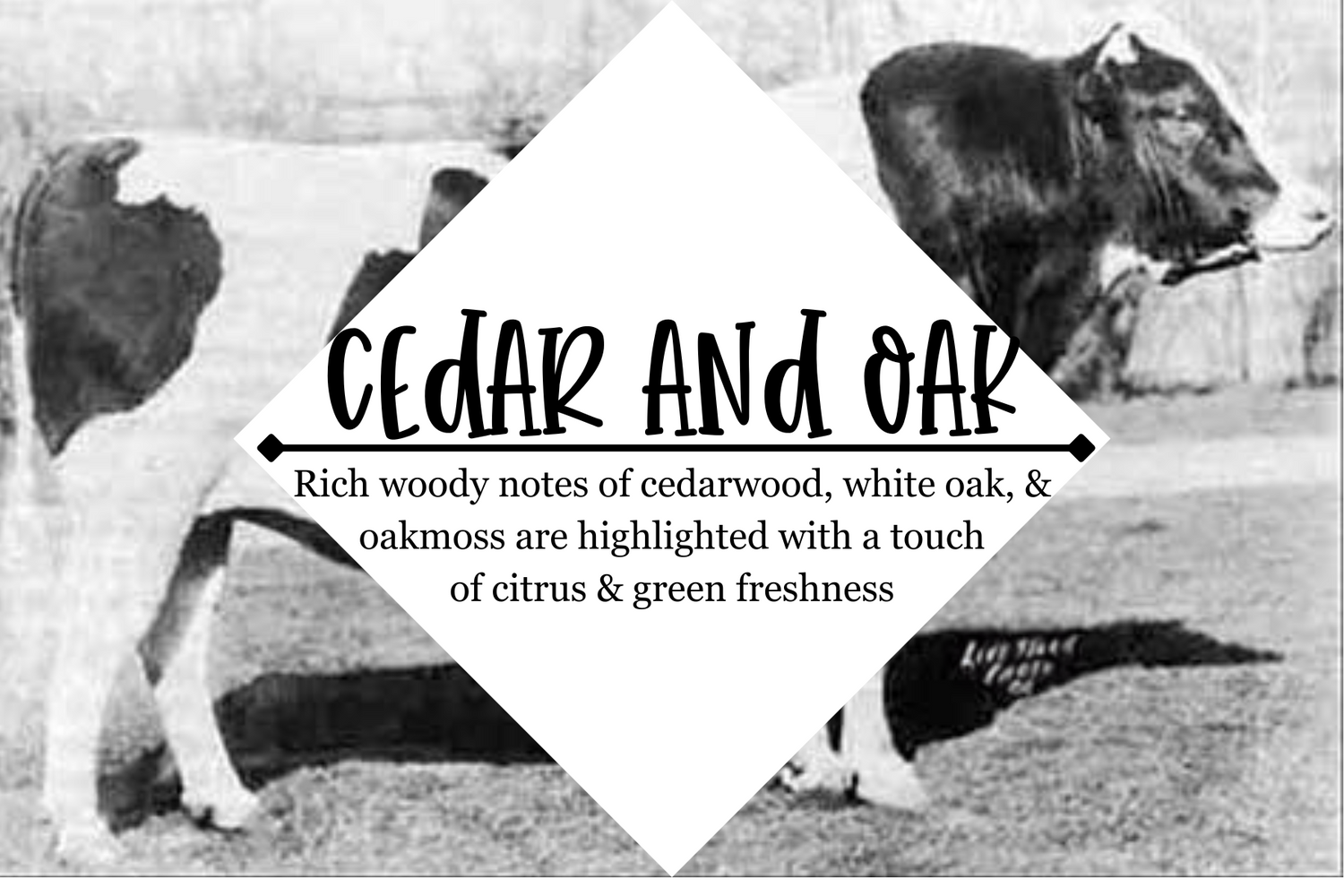 Beard Balm - Grandpa Joe's Chocolates