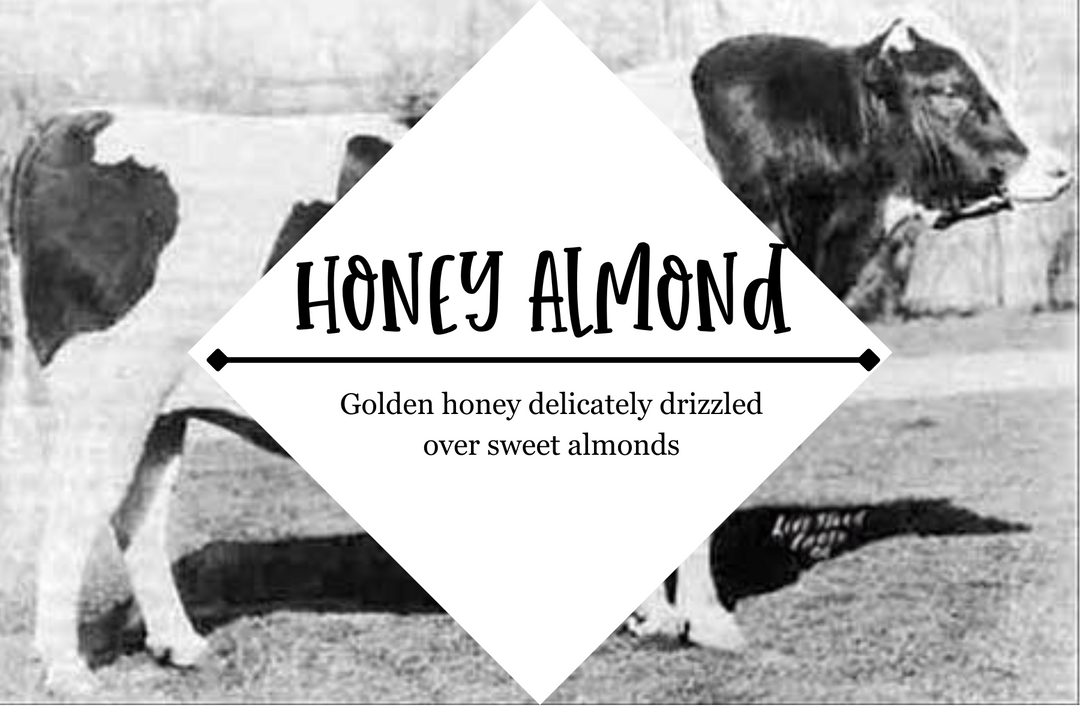 Beard Oil - Grandpa Joe's Chocolates