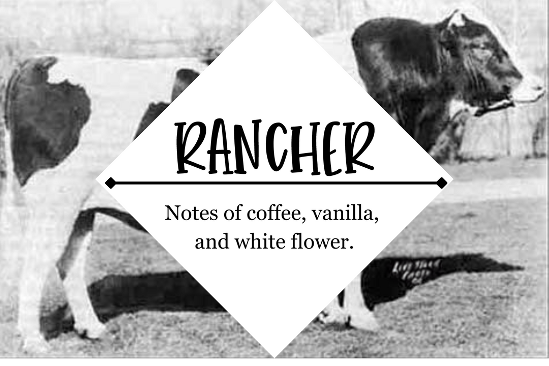 Beard Oil - Grandpa Joe's Chocolates